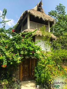 巴卡拉尔Guarumbo的一座茅草屋顶和鲜花的小房子