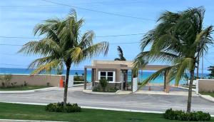 卢西Scenic Ocean View Home的两棵棕榈树在海洋前的房屋