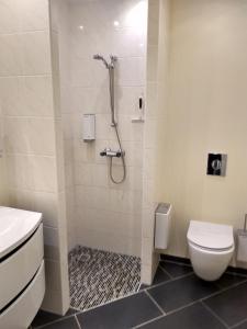 帕兹堡弗洛斯勒克鲁酒店的带淋浴和卫生间的浴室