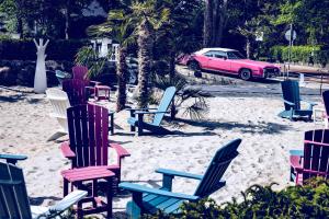 蒂门多弗施特兰德The Flamingo的沙滩上一束椅子