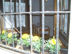 莱斯卡拉L' Escala centre la Platja的窗户里放着一束黄色的花