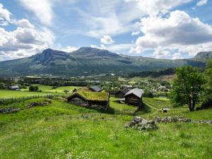 海姆瑟达尔Snøya Lodge的一片绿地,背靠房屋和山脉