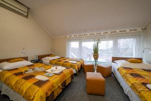 奥普尔Fortisline Pokoje z klimatyzcją SAUNA的酒店客房设有三张床和窗户。