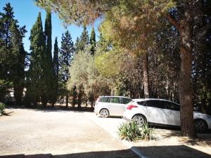 Saint-Mitre-les-RempartsLe Grenadier的两辆汽车停在一个树木茂密的停车场
