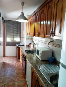 扎哈拉Casa Rural Agua de Azahar Chimenea的厨房配有木制橱柜和台面上的微波炉