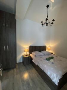 第比利斯Studio apartment with balcony in Tbilisi的一间卧室配有一张大床和一个吊灯。