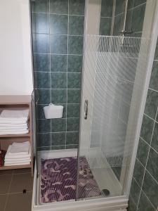 SzihalomHármas Apartman - Zsóryfürdő Mezőkövesd的浴室里设有玻璃门淋浴