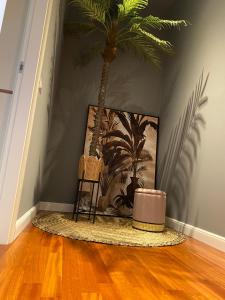 坎波巴索BB SAVOIA Affittacamere的一间房间,墙上有椅子和棕榈树