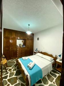 DhragoulásGaia home的一间卧室配有一张带蓝色毯子的大床