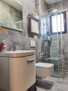布拉格yipin villa的浴室配有卫生间、淋浴和盥洗盆。