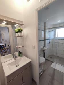 蒙塔日Appartement hyper centre de Montargis的一间带水槽、卫生间和淋浴的浴室