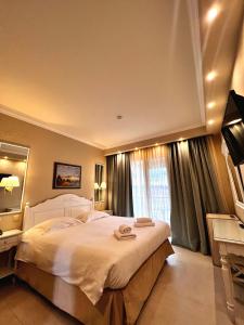 约阿尼纳阿尼莫利亚温泉度假酒店 的一间卧室设有一张大床和一个大窗户