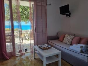 格利法达Corfu Dream Holidays Villas的带沙发的客厅,享有海景
