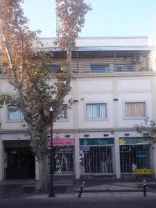 圣拉斐尔Departamento San Rafael - Sobre Paseo Chile的前面有棵树的白色建筑