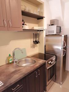 梅杜林Slim apartman i sobe的厨房配有水槽和不锈钢冰箱