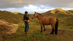 Estancia GrandePotrero del Rey的站在野外棕色马旁的人