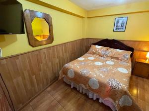 安托法加斯塔Hostal Los Salares的一间小卧室,配有一张床和镜子