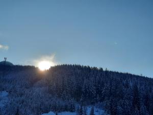 维尔芬翁Gästehaus Gamsblick的雪覆盖的山丘上树木的阳光下
