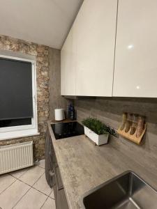 雷泽克内Dzivoklis ar saunu的一间带水槽和白色橱柜的厨房以及一台电视。