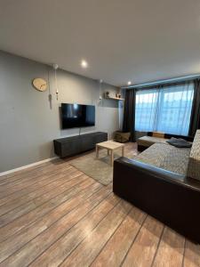 雷泽克内Dzivoklis ar saunu的带沙发和平面电视的客厅