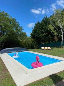 Creuzier-le-NeufLogement indépendant Piscine et Jardin的游泳池内有2个粉红色的火烈鸟