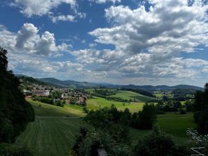 申贝格Ferienwohnung Sonnengarten的从带绿色田野的山丘上可欣赏到乡村景色