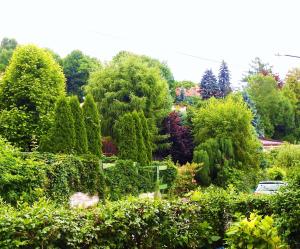 克拉科夫埃克斯特拉博克耶杜维纳耶西亚旅舍的一座种有许多树木和灌木的花园