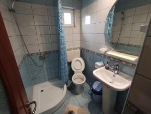科斯蒂内什蒂Casa Aura 1的一间带卫生间、水槽和镜子的浴室