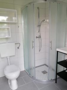 斯姆勒尼科Glamping with a view的一间带卫生间和玻璃淋浴间的浴室