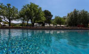 波尔图·埃尔科莱瑞拉斯拉莫尔泰拉乡村酒店的一座带树木和椅子的大型水游泳池