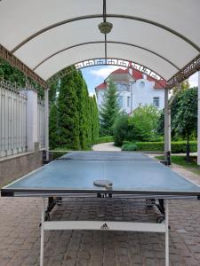 基辅Bortnichi House的亭子里的乒乓球桌,带台面