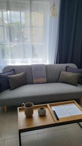 奥尔什丁Apartament Mochnackiego的带沙发和咖啡桌的客厅