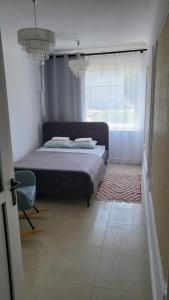 奥尔什丁Apartament Mochnackiego的一间卧室设有一张大床和一个窗户。