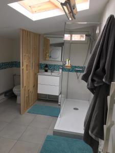 比亚里茨Chalet basque 6 couchages centre ville Biarritz的带淋浴、盥洗盆和卫生间的浴室