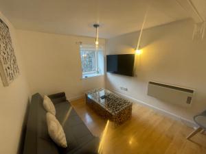 布莱尔高里Alpine Apartments - 1的带沙发和电视的客厅
