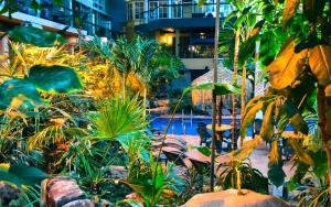 魁北克市魁北克酒店的一座花园,花园内种有植物,游泳池位于一座建筑中