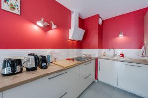 安锡Emergence - Apartment 1 bedroom 2-4 pers Garage and Terrace的厨房设有红色的墙壁和白色的橱柜