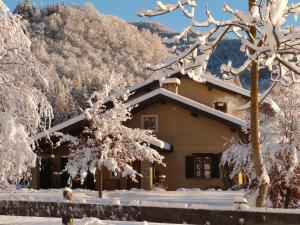 加约拉斯泰拉塔罗缇住宿加早餐旅馆的树前的雪覆盖的房子