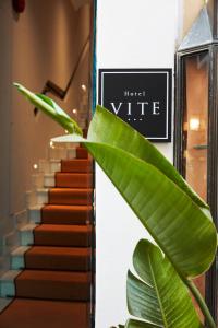 罗马HOTEL VITE - By Naman Hotellerie的楼梯旁的绿色叶子植物