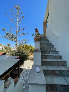 米科利维亚Matina Naxos - Mikri Vigla的楼梯通往树屋