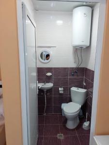 PopovoGazi的一间带卫生间和水槽的小浴室