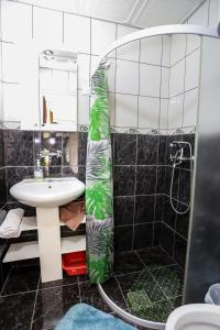 赫尔采格诺维Guest House Topla的带淋浴和盥洗盆的浴室
