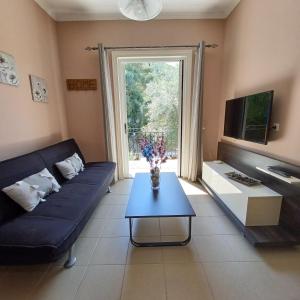 塞沃塔Μπουκαμβίλια - Bougainvillea的客厅配有蓝色的沙发和电视