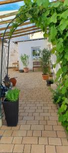 科布伦茨Ferienhaus Cornelia的种植了盆栽植物和凉棚的庭院