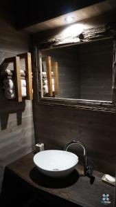 VėžionysGervės dvaro svečių namelis的浴室设有白色水槽和镜子