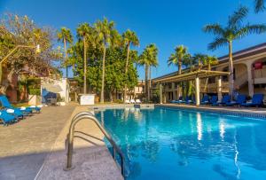 瓜伊马斯Gamma Guaymas Armida Hotel的棕榈树度假村的游泳池
