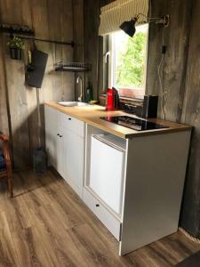 OzolaineForest cabin的厨房配有水槽和台面