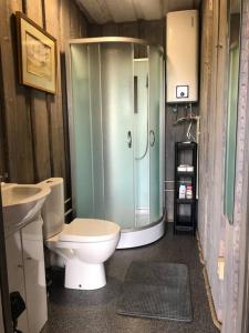 OzolaineForest cabin的带淋浴、卫生间和盥洗盆的浴室