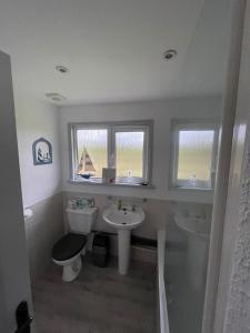 博德明81 Hengar Manor的一间带水槽和卫生间的浴室以及两个窗户。