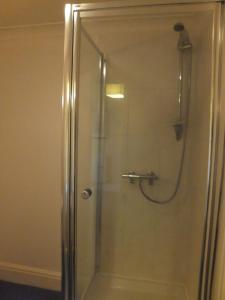 伊利斯特雷色姆红狮宾馆的浴室里设有玻璃门淋浴